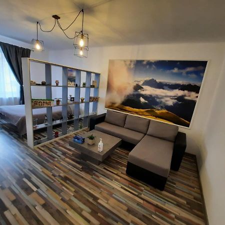 Appartement Croma Studio Petroşani Extérieur photo