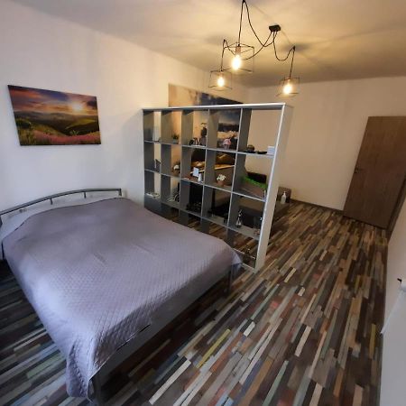 Appartement Croma Studio Petroşani Extérieur photo