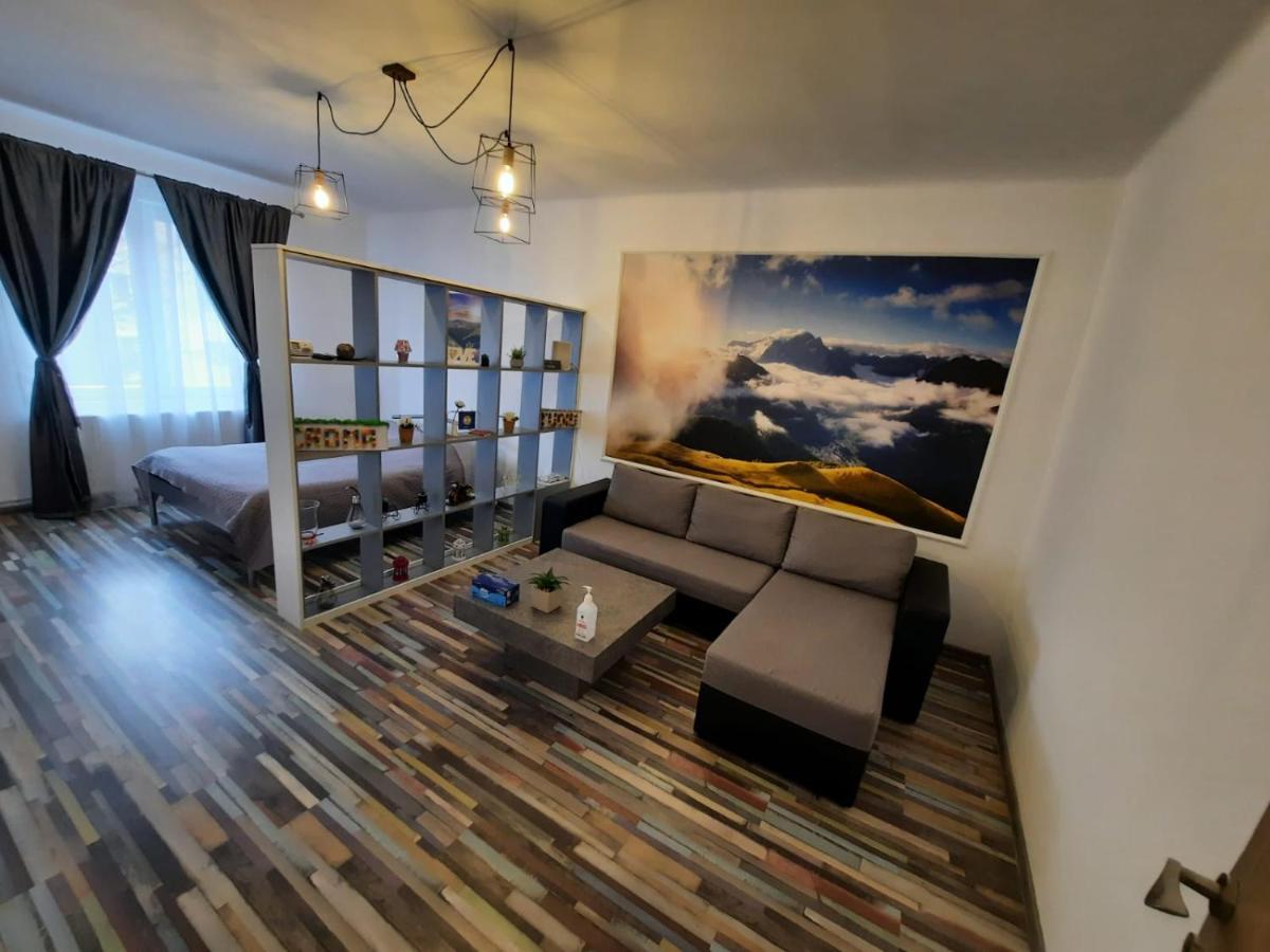 Appartement Croma Studio Petroşani Extérieur photo
