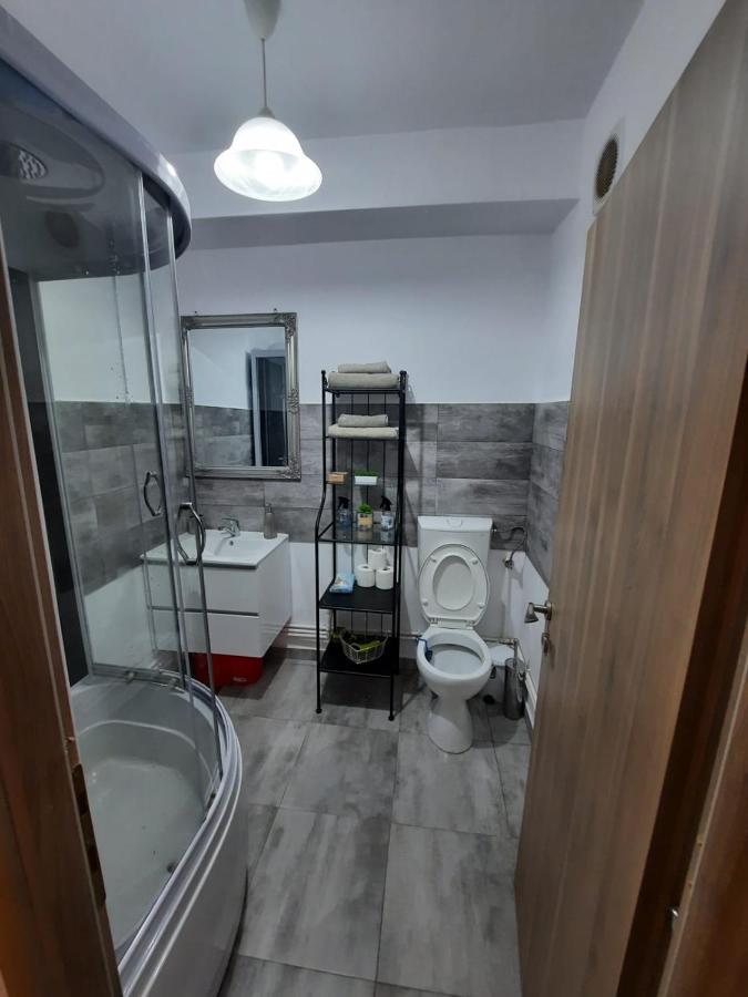 Appartement Croma Studio Petroşani Extérieur photo