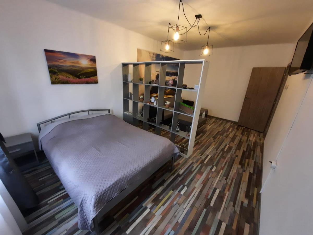 Appartement Croma Studio Petroşani Extérieur photo