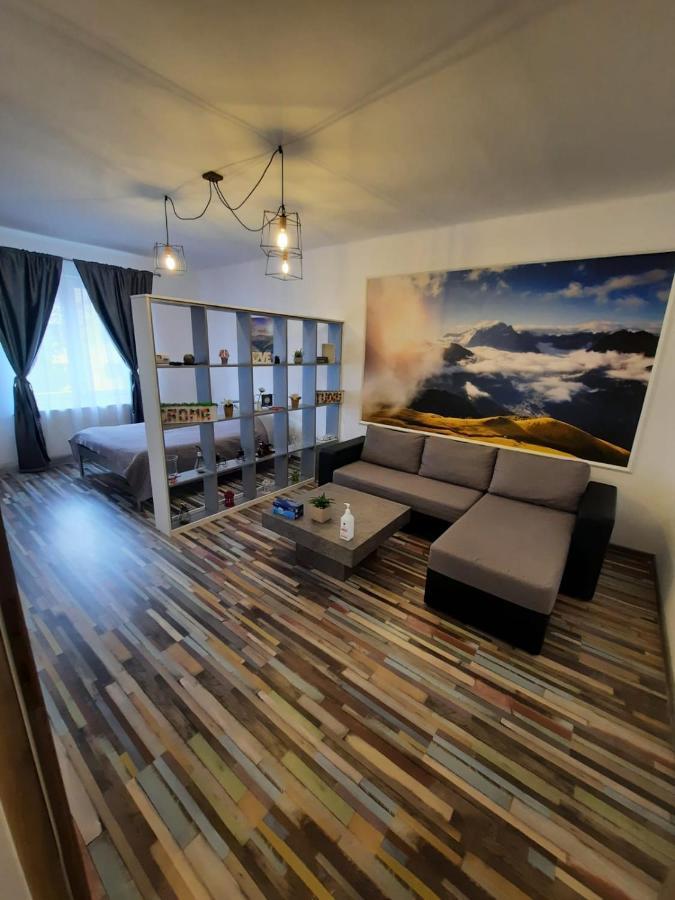 Appartement Croma Studio Petroşani Extérieur photo